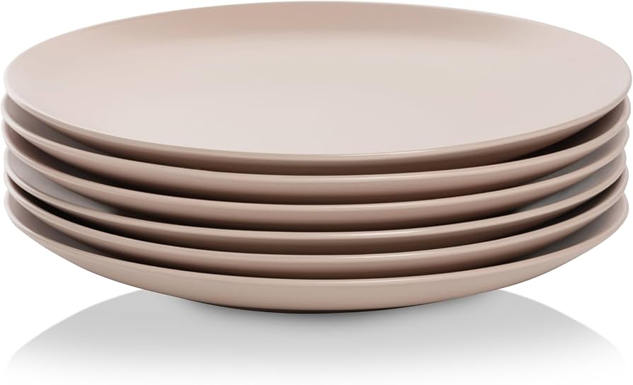 Ceramic Plate 006