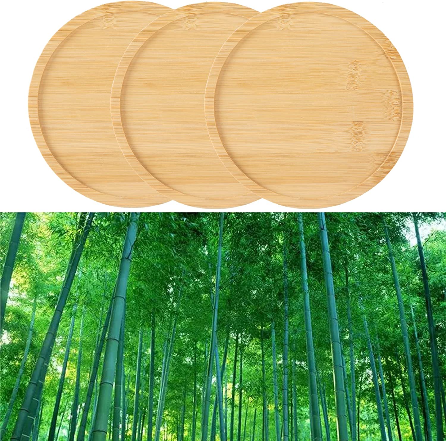 6-Pack Round Bamboo Wood Coasters for Drinks, Tea Cups, Planter Trays