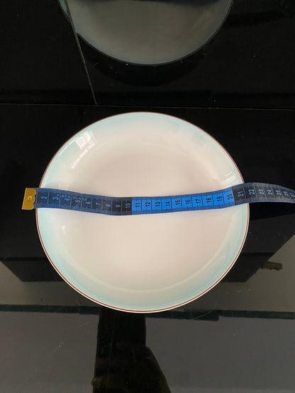 Color Mix Plate 18 CM