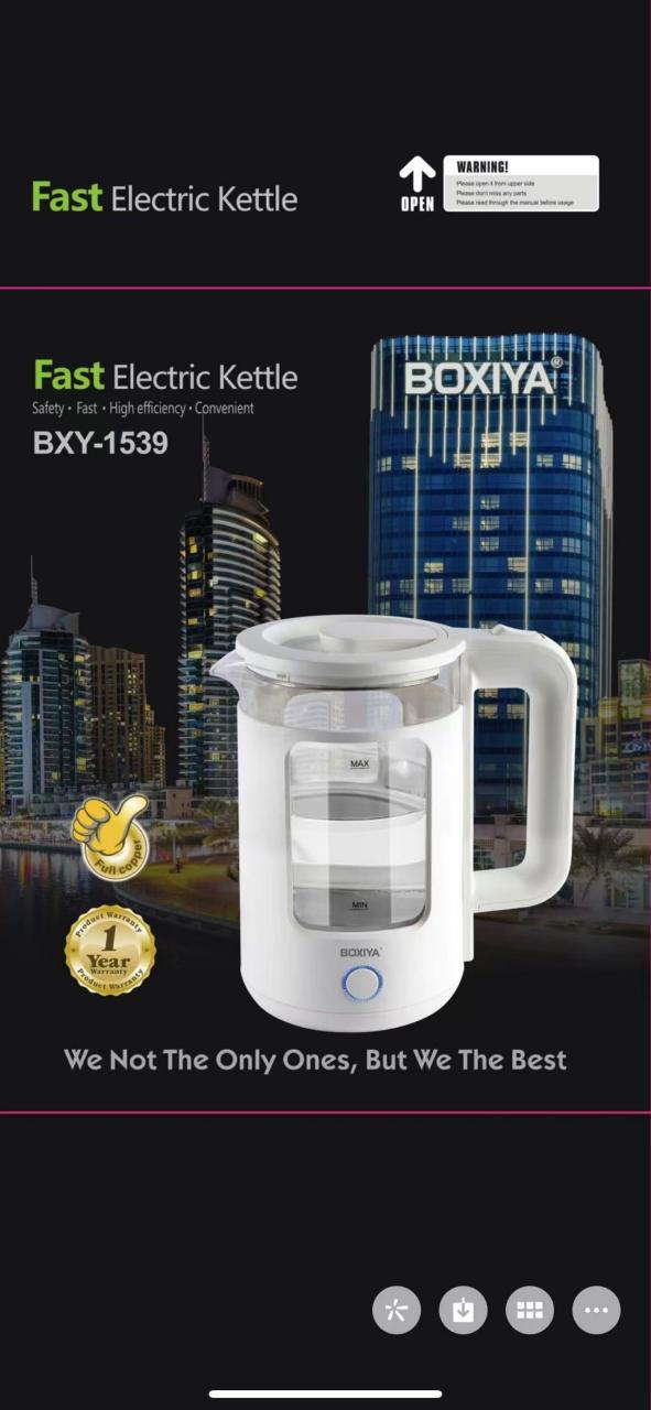 Boxiya Electric Kettle